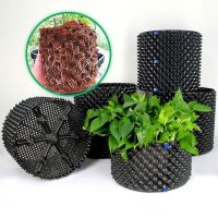 PED Air Root Pots Plant Root Trainer Root Hydroponic Plant Air Pruning Pots