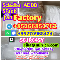 JWH-018 5FADB 5F-MDMB-2201 ADB-BINACA adbb 5cladba 4FADB,