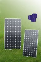 Monocrystalline Photovoltaic Module