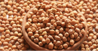 Brown Chickpeas