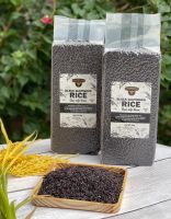 https://fr.tradekey.com/product_view/Black-Glutinous-Rice-10321821.html