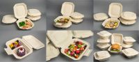 Biodegradable Food Packaging - Clamshell Paper Pulp