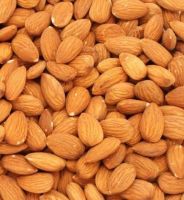 https://www.tradekey.com/product_view/Almond-Nut-Pistachios-Nuts-Peanuts-Walnut-Chia-Seeds-Dried-Cashew-Nuts--10324983.html