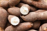 Fresh Cassava Root