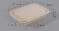 Disposable food container 