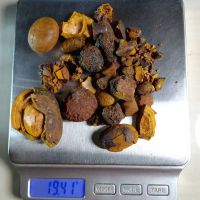  Gallstones Cow Ox Cattle Gallstones.