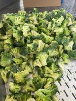 Frozen Broccoli