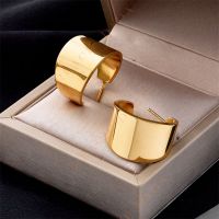 DaDa European and American simple and cold style delicate glossy C-shaped wide face high-end temperament personality titanium steel stud earrings