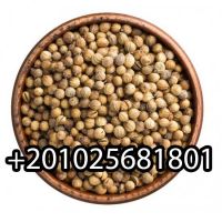 coriander