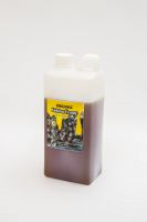 PURE STINGLESS BEE HONEY FROM KALIMANTAN