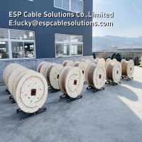 18AWG 4mm Tubing Encapsulated Cable (TEC Cable)