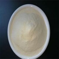 High Quality of Xanthan Gum Food Grade 80 Mesh 200 Mesh