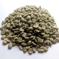 Green coffee  beans