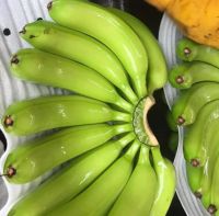 Banana, Cavendish Bananas, Fresh Green Cavendish Bananas