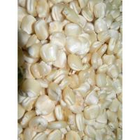 Grade 1 White Corn/Maize