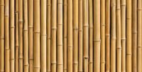 Karma Bamboo and Wood Branches