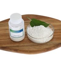 Pharma Grade Food Grade Magnesium Aluminum Silicate Used as Thickener