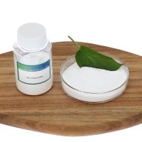 Food Grade Feed Grade Vitamin B3 Nicotinamide Niacinamide