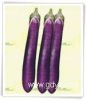 https://www.tradekey.com/product_view/Eggplant-467200.html