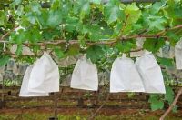  fruit protective bagsï¼ŒLoquat bag,Tomato bag, Guava bag