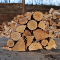 Cheap Good Quality Kiln Dried Split Firewood in Pallet Oak Firewood / Mangrove Firewood for Sale 
