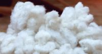 Fluff Pulp