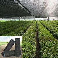 Agriculture/Greenhouse Virgin HDPE Shade Net Customized Shade Rate Plastic Net With UV Resistance Sun Shade nets