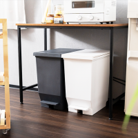 EBAN BUTTERFLY LID STEP ON TRASH CAN
