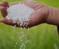 Urea Fertilizer