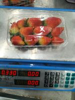 Fresh Strawberry