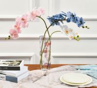Aesthetic Translucent flower Acrylic vase