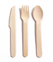 Wooden Disposable Spoon