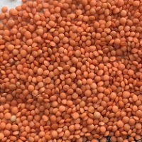 Chickpea,Lentil,Flax seed