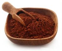 Hot Sale Cocoa Powder Cocoa Seed Extract Cocoa Bean Powder on Sale