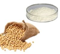 Supplements Isolate Soy Protein Powder/Soybean Protein For Health Food