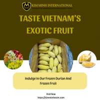 Premium Frozen Durian for International Markets Best Quality From Viet Nam