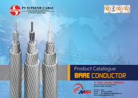 SUPREME Bare Conductor