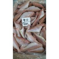 Red Sea Bream