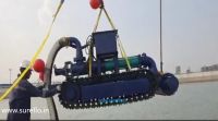 Online Robotic Sludge Removal Service