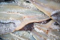 Good Quality Dry Stock Fish From Norway / Dry Stock Fish Head / Dried Salted Cod Wholesale