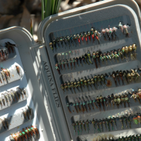 Flies For Fishing