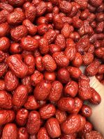 JUJUBE