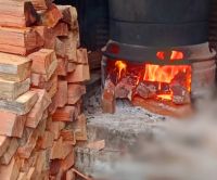 Fuelwood type keruing