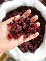 Dried Hibiscus Flower