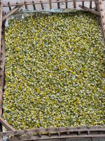 Chamomile Flowers