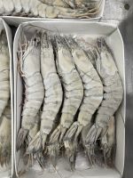 Frozen Shrimp Vannamei/white leg