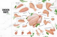 Brazil Chicken Feet Exporters - Frozen Chicken Paws Wholesale,Frozen Chicken Paws Supplier