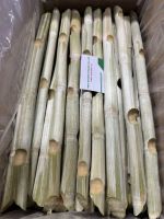 Frozen sugarcane VIET GOODS TRADE