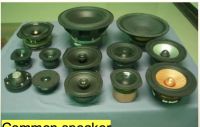 Audio Speaker Unit