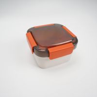 Small Lunch Container With Salad Bowl